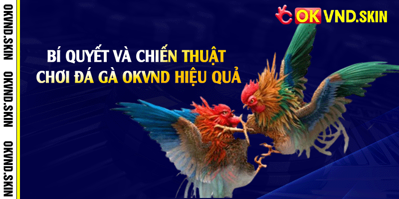 Bí quyết và chiến thuật chơi đá gà OKVND hiệu quả
